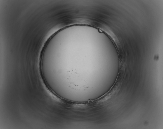 X0000102261135200808081354