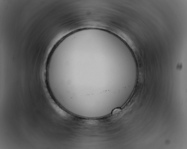 X0000102261136200808081354