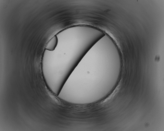 X0000102261137200808081354