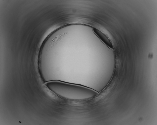 X0000102261138200808081354