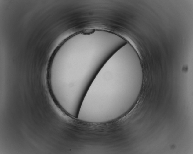 X0000102261139200808081354