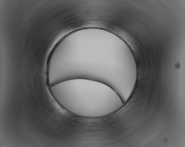 X0000102261140200808081354