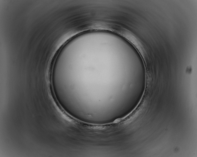 X0000102261141200808081354