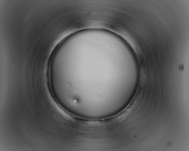 X0000102261142200808081354