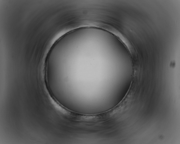 X0000102261143200808081354