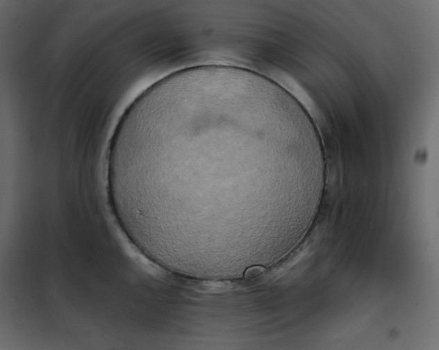 X0000102261144200808081354