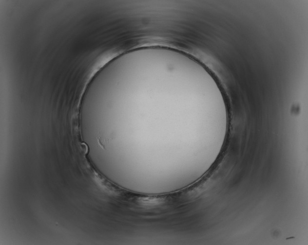 X0000102261145200808081354