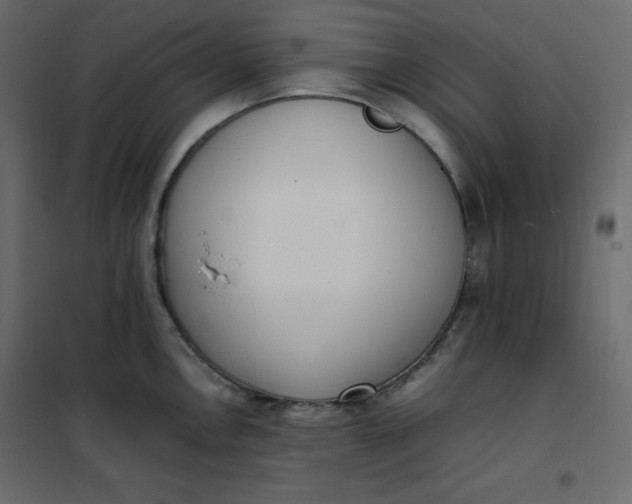 X0000102261146200808081354