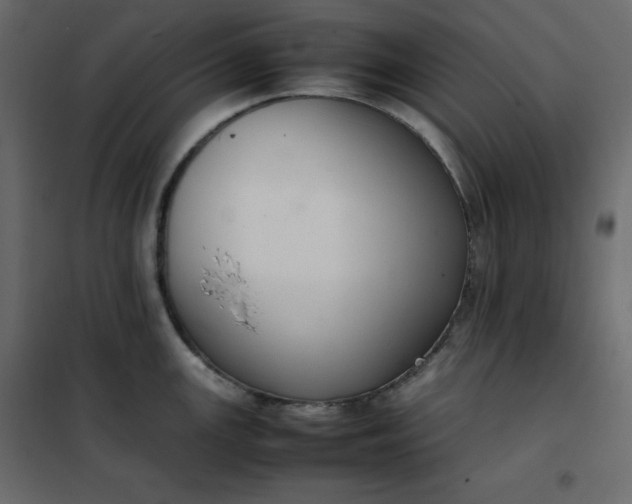 X0000102261147200808081354