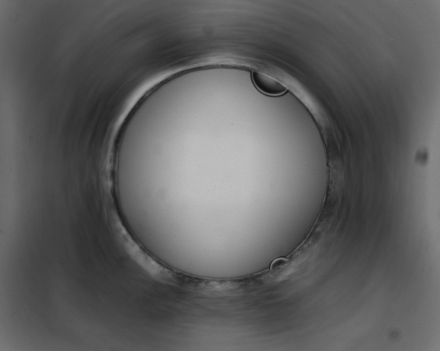 X0000102261148200808081354