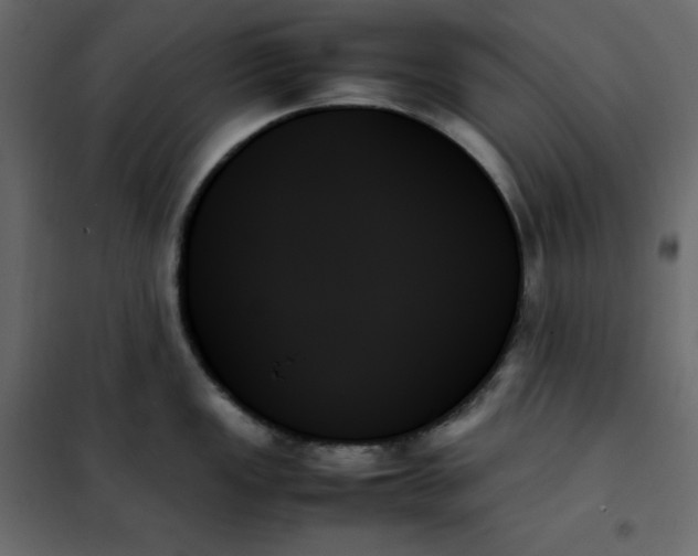 X0000102261149200808081354