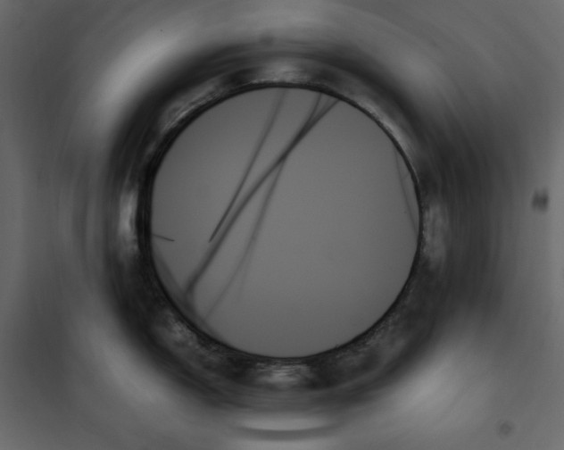 X0000102261150200808081354