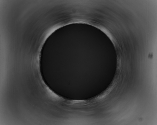 X0000102261151200808081354