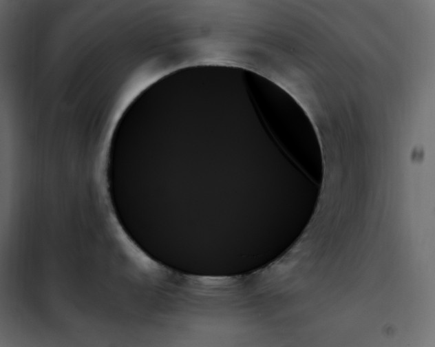 X0000102261152200808081354