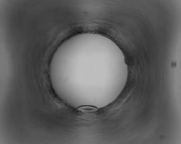 X0000102261153200808081354