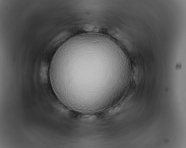 X0000102261154200808081354