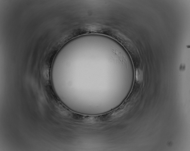 X0000102261155200808081354