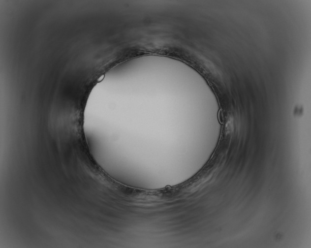 X0000102261156200808081354