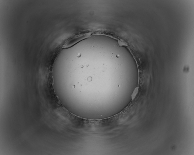 X0000102261157200808081354