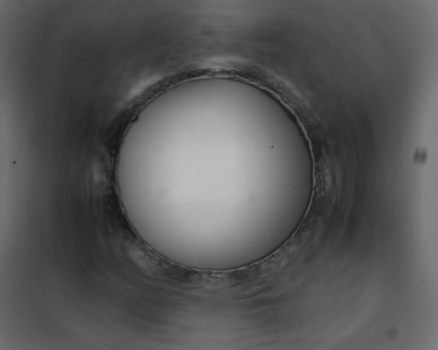 X0000102261158200808081354