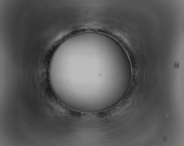 X0000102261159200808081354