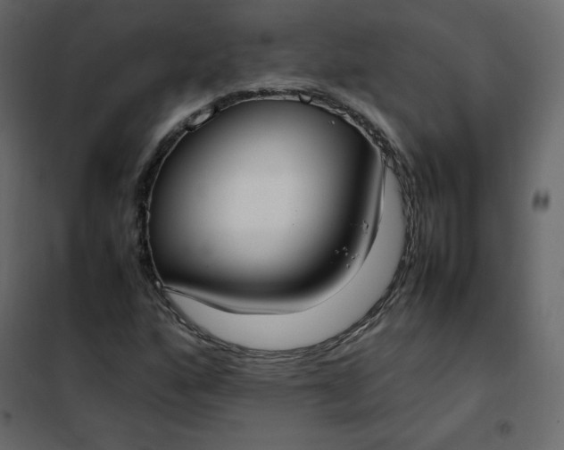 X0000102261160200808081354