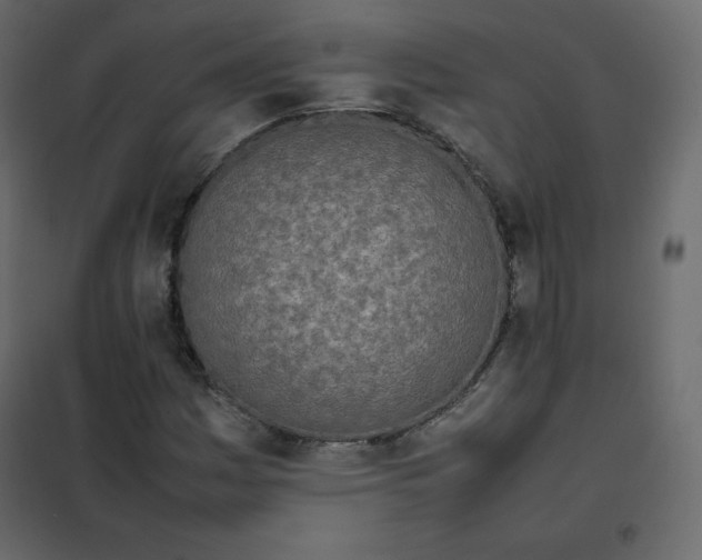 X0000102261161200808081354