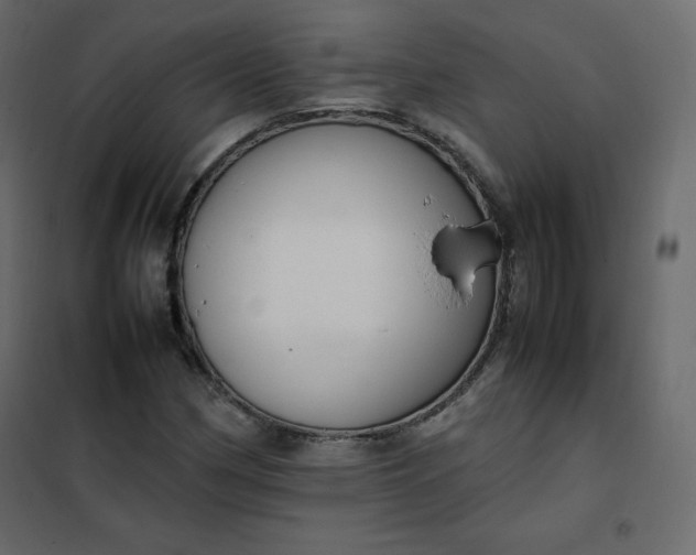 X0000102261162200808081354