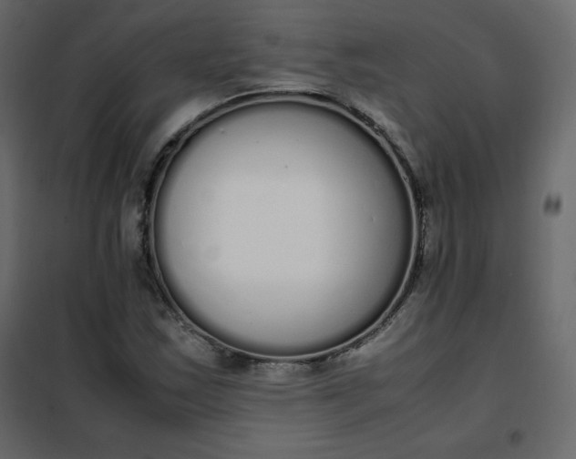 X0000102261163200808081354