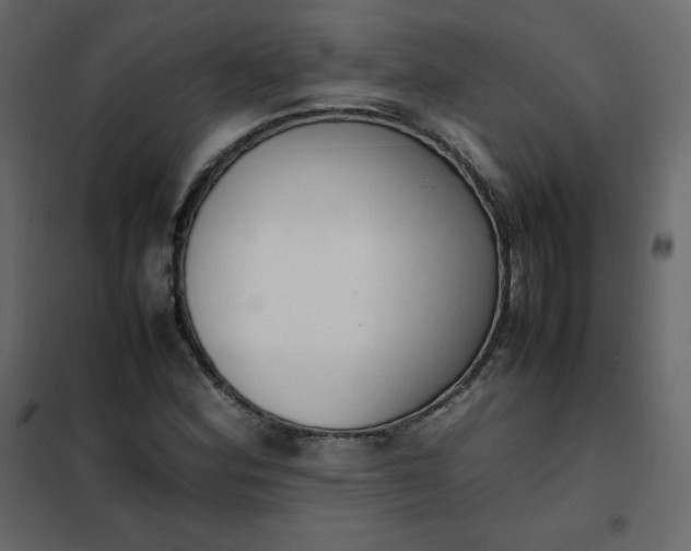 X0000102261164200808081354