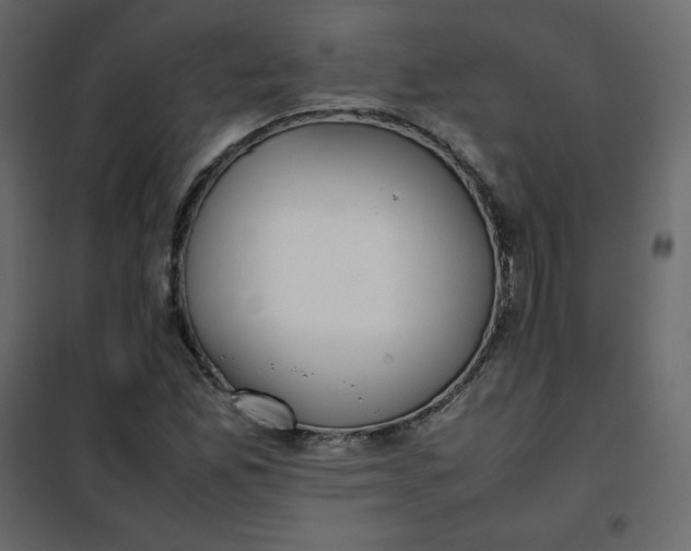 X0000102261165200808081354