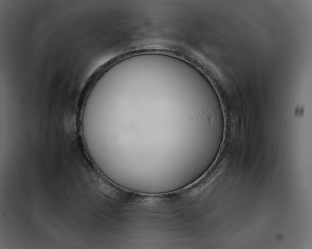 X0000102261166200808081354