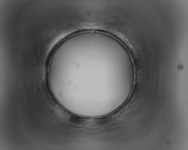 X0000102261167200808081354