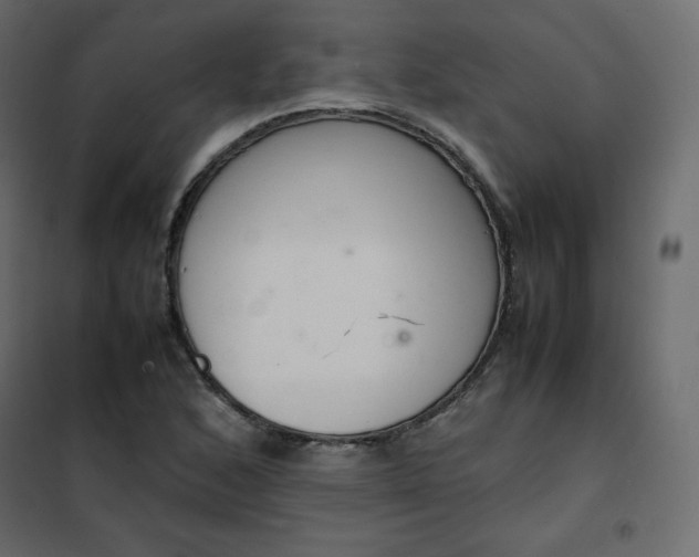 X0000102261168200808081353