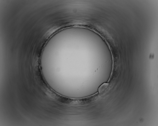 X0000102261169200808081353