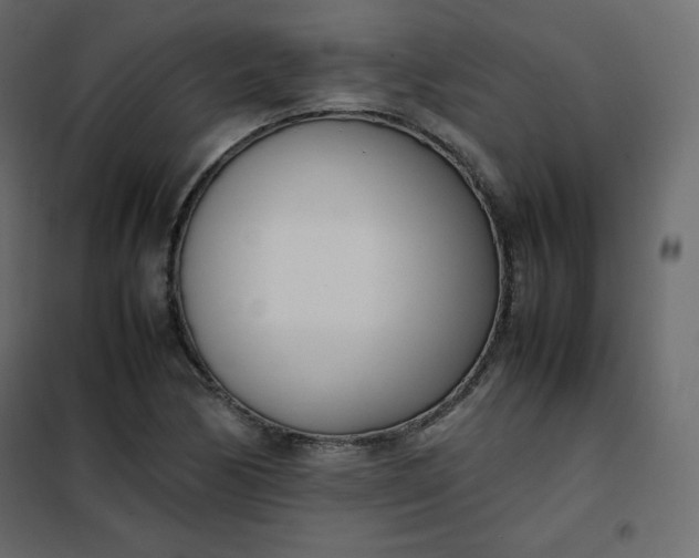 X0000102261170200808081353