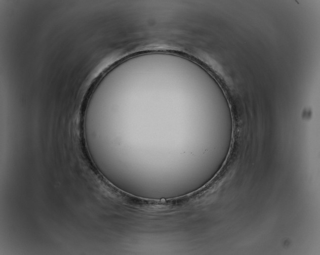 X0000102261173200808081353