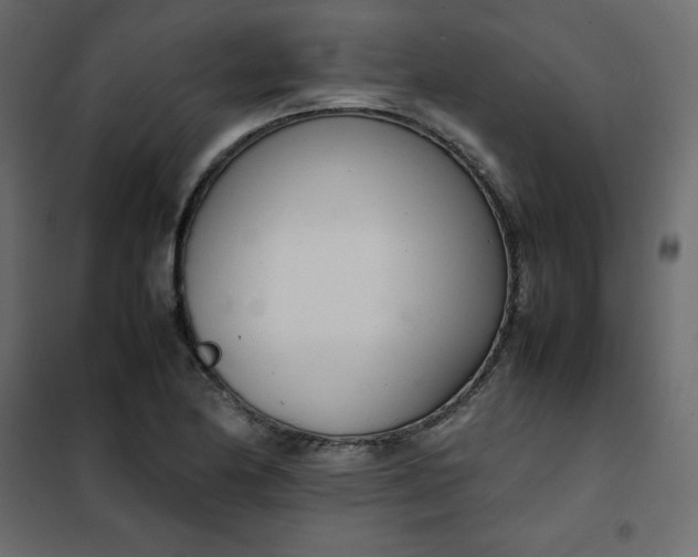 X0000102261174200808081353