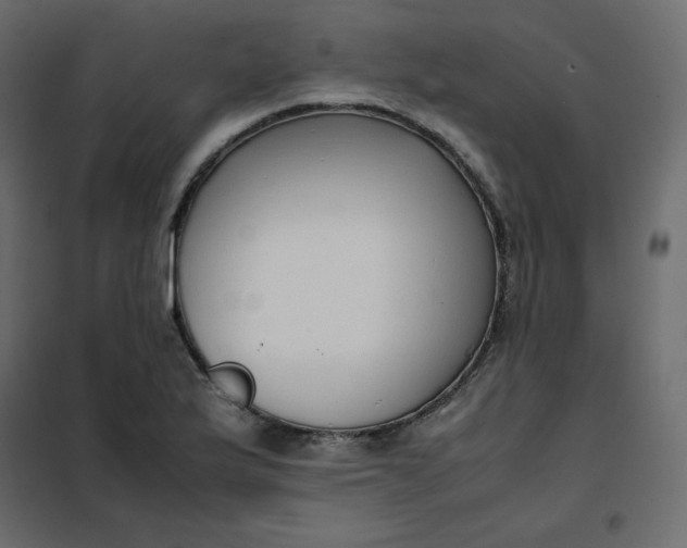 X0000102261175200808081353