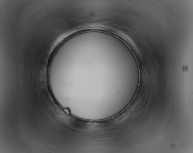 X0000102261176200808081353