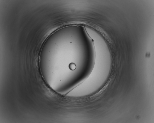 X0000102261177200808081353