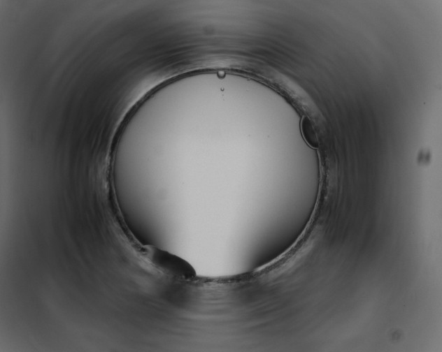 X0000102261178200808081353