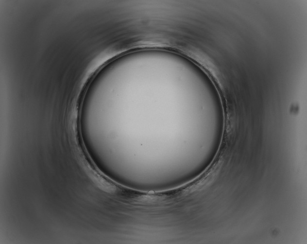 X0000102261179200808081353