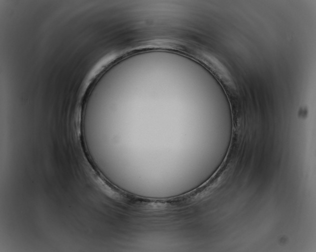 X0000102261180200808081353