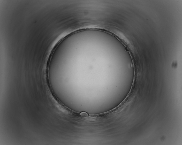 X0000102261181200808081353