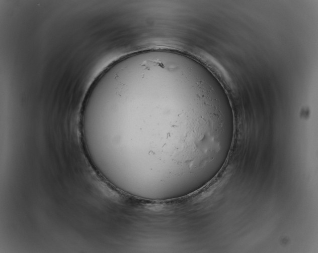 X0000102261182200808081353