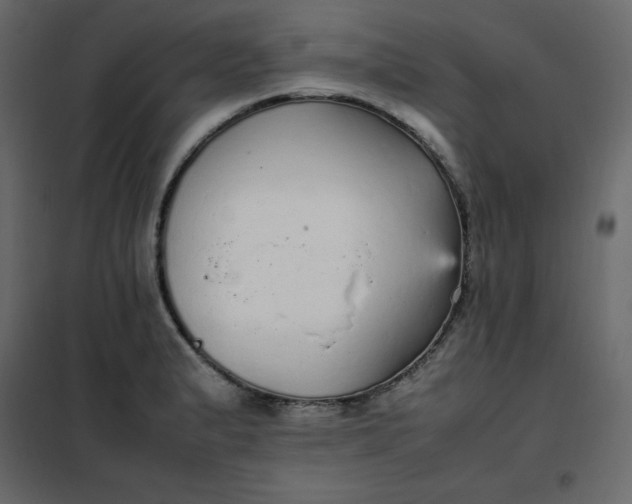 X0000102261183200808081353