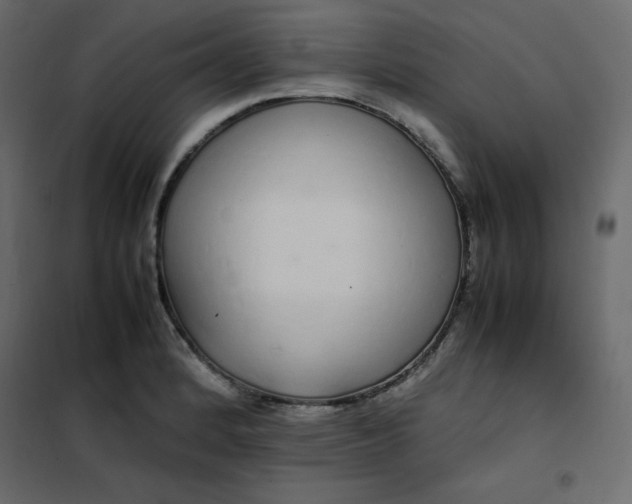 X0000102261184200808081353