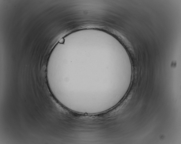 X0000102261185200808081353