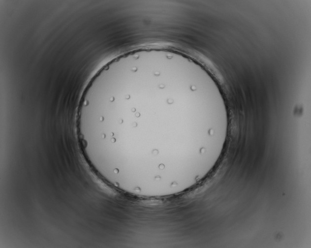 X0000102261186200808081353